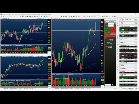 Palinha do Palex - dia 23 janeiro de 2019 - TARDE