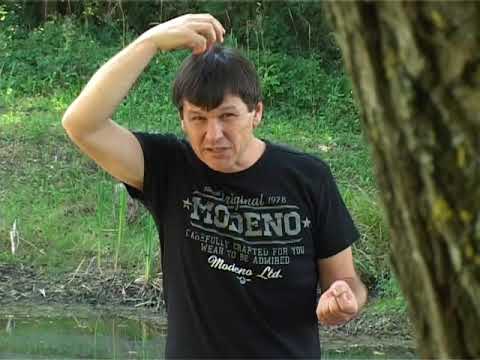 Zlatko Nedeljko Pepsi - Papagaji