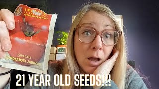 GROWING 21 YEAR OLD TOMATO SEEDS | Growing food in small spaces