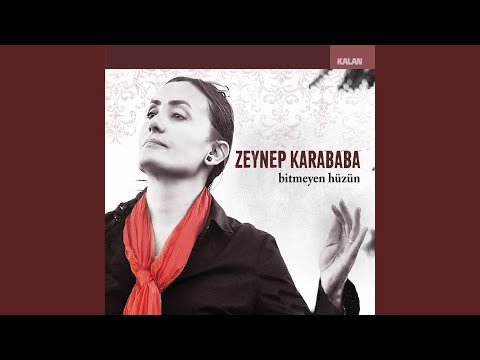 Video Yükleniyor...