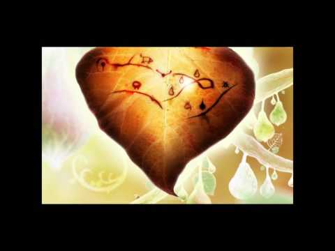 FernStream LP - Botanicula 03 - The Frogs!