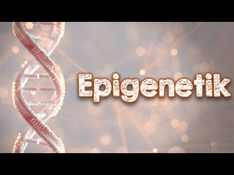 Epigenetik - Einfluss auf dein erbliches Schicksal