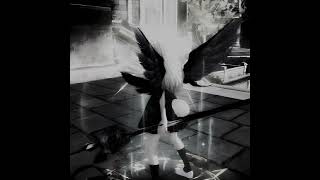 Download lagu HARD RAVE MIX 4 (FRENCHCORE/HARDSTYLE/HARDTEKK/UPTEMPO) mp3 Download lagu HARD RAVE MIX 4 (FRENCHCORE/HARDSTYLE/HARDTEKK/UPTEMPO) mp3