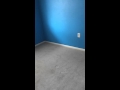 IMG 2827