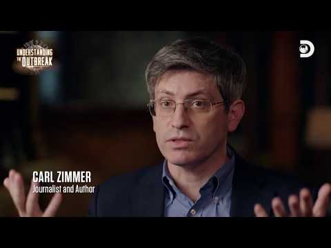 Understanding The Outbreak [4/5]: The Origin of Influenza