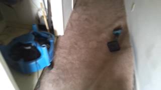 preview picture of video 'willards cleaning service Water damage little river sc 29566'