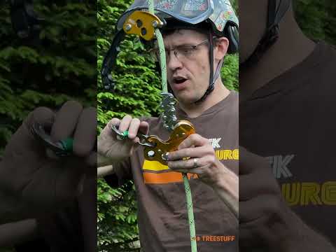Petzl Zigzag for SRT/SRS Climbing? - TreeStuff #shorts