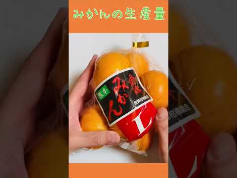 薬学科 みかんの名産地