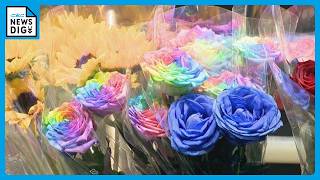 イラン攻撃開始から3か月…花の輸送コスト上昇 名古屋・中区の生花店で「バラ」ほぼ国産に…燃料費や肥料の価格高騰で生産者にも重荷