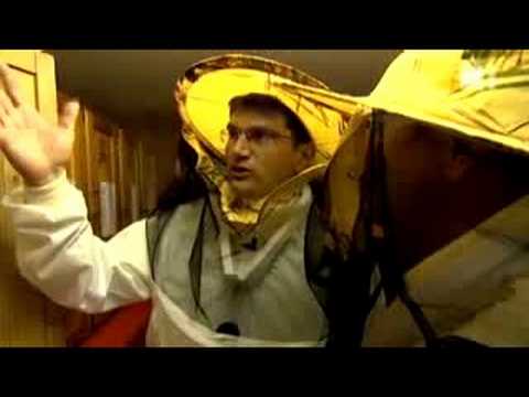 Aeschbacher - Sommerjob: Jonas Zenhäusern (Imker)