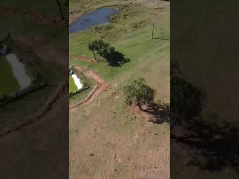 Vende-se uma bela fazenda no município de São Francisco de Sales - MG 25,5 alqueirão