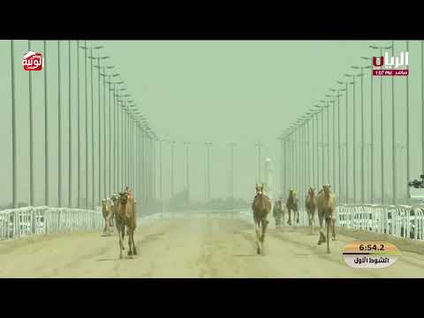 ش 1 الخنجر (عكراش) لـ سالم احمد بالرشيد السويدي 12:17:16 ، مهرجان ختامي الشحانية 2026/04/29 زمول