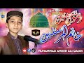 Ae Rasool E Ameen Khatim Ul Mursaleen Ameer Ali Qadri Naat 2024