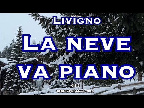 Neve a Livigno | Fiocchi lenti e atmosfera invernale