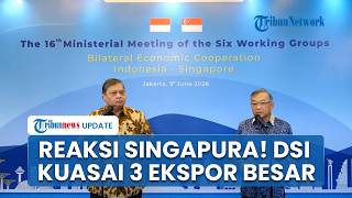 Heboh Kebijakan Baru RI! Singapura Respons Danantara Ambil Alih Ekspor 3 Komoditas Strategis