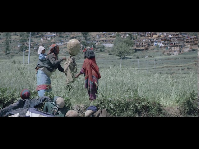 #BIFF2020 Wide Angle - A Scarecrow / 와이드 앵글 - 허수아비