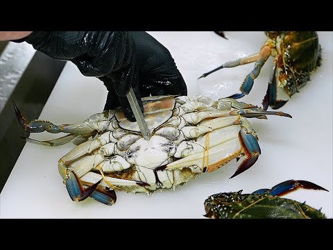 Japansk Mat - Röd Hummer skorpion krabba sashimi japan