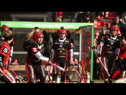 Ottelukooste Pesäkarhut - Laitilan Jyske 17.5.