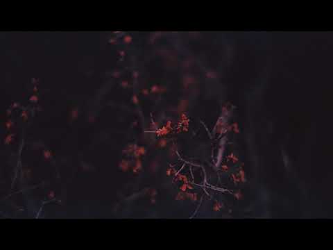 HOSH - Unconventional [fryhide]