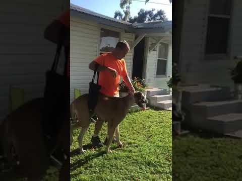 YouTube video