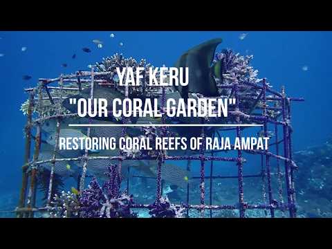 Yaf Keru - Mini walls project