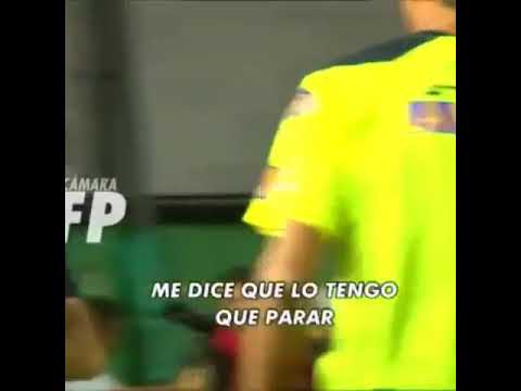 Mostaza merlo y la pechera