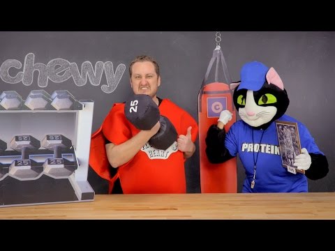 Rachael Ray Nutrish Cat Food | Chewy