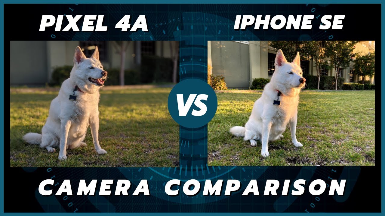 iPhone SE 2020 vs Pixel 4a Camera Comparison