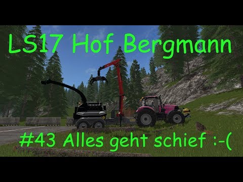 LS17 | Hof Bergmann | #43 Alles geht schief :-( #Holz häckseln