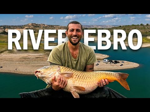 RIVER EBRO : The Real Experience | 40lb Wild Carp Fishing ( Full Movie )