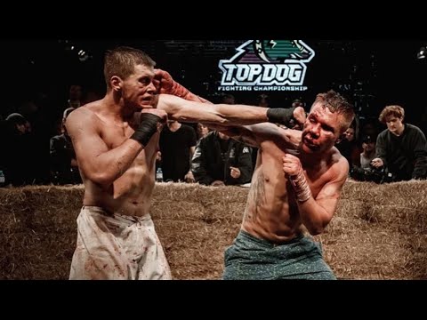 Яндекс — поиск по видео