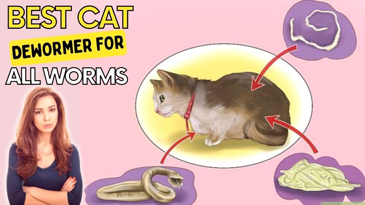 Best Cat Dewormer For All Worms - Eliminates All Parasites Within 1 Week