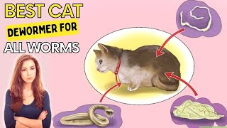 Best Cat Dewormer For All Worms - Eliminates All Parasites Within 1 Week