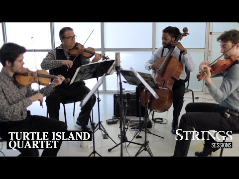 Strings Sessions: Turtle Island String Quartet