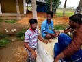 Balupu Video