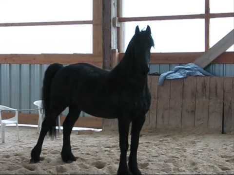 Vidéo de démonstration d’allure