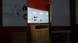 ANIMAL FICTION ENJOY THE RIDE