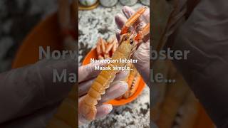 Download lagu Norway lobster mp3