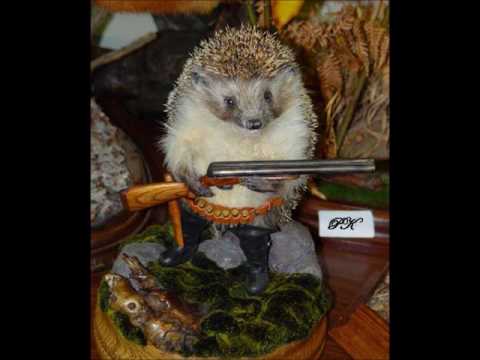 blackys jim jonny jonnas