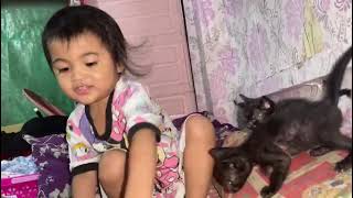 She play together between real kitty and puppy toy #sheplaytogetherbetweenrealkittyandpuppy toy