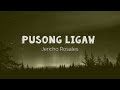 Pusong Ligaw  | Jericho Rosales Lyrics