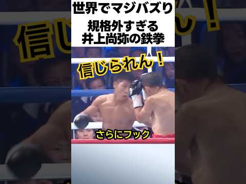 規格外すぎる井上尚弥の鉄拳 #ボクシング #格闘技