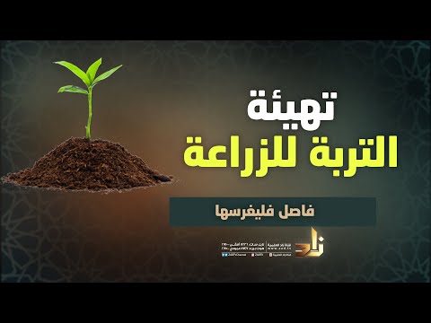 img-video