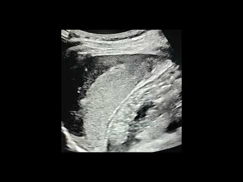 Adam Głuszak-12