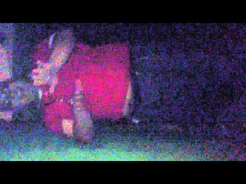 Perreo Parte 4 (More)