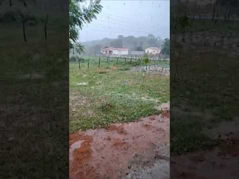 🇧🇷 DOM EXPEDITO LOPES, PIAUÍ 27/01/2026 #chuvas #sitio #nordeste #vidanaroça #chuva #vidanaroça