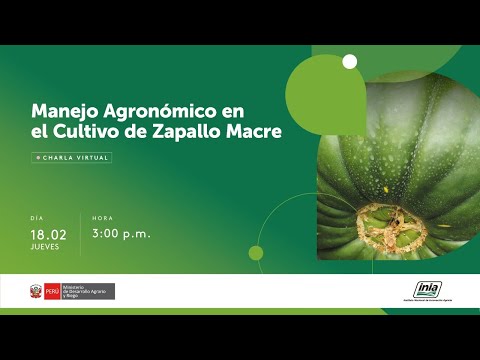 , title : 'Manejo Agronómico en el Cultivo de Zapallo Macre'