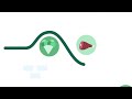 Weekmeals - Standard 2D SaaS Explainer Video