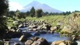 ABLE TASMANS - 'Rainbow'