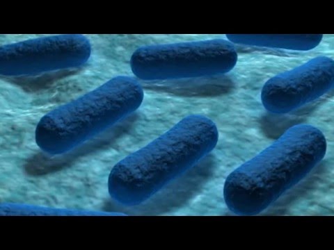 Farliga bakterien ESBL-carba ökar i Sverige